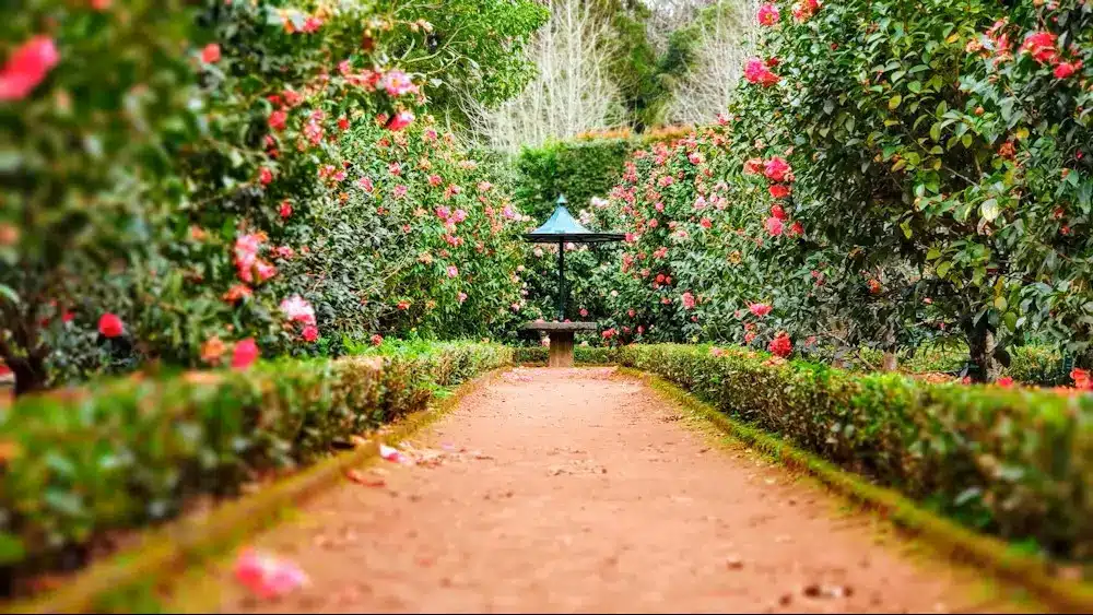 Giardino terapeutico healing garden progettazione